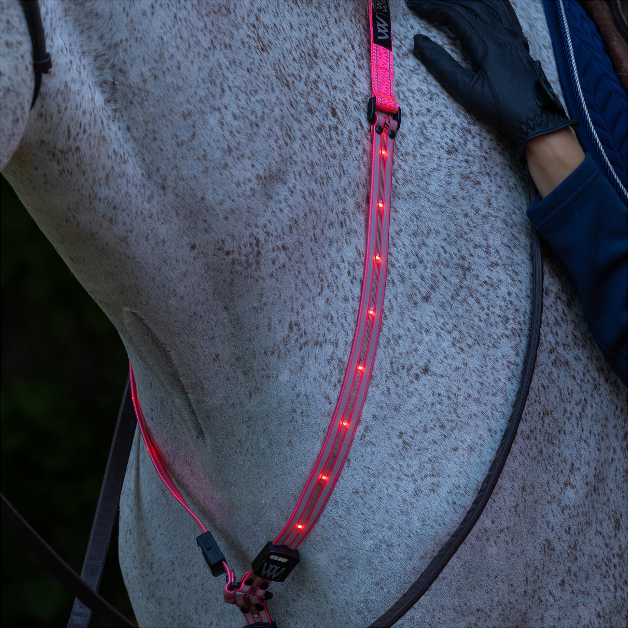 2026 Woof Wear Bandeau LED Pour Le Cou WS0035 - Hi Viz Pink